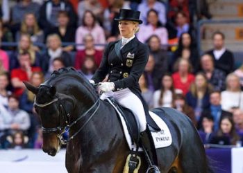 Fotograf Claes Jakobsson, www.hastbilder.se