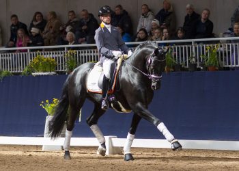 Ridesport