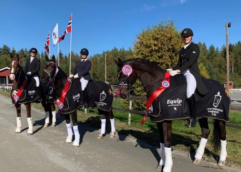 jj_horses_landschampionat