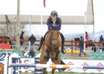 johan_david_guetta_1