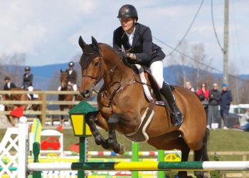 johan_gulliksen_calido-4