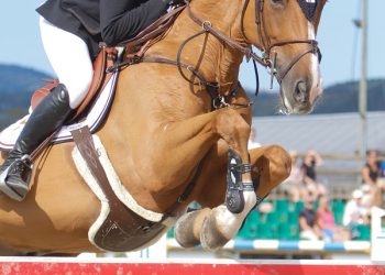 johan_gulliksen_chaloubet_2_of_8