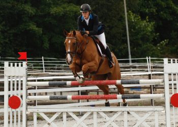 johan_sebastian_gulliksen_og_chaloubet2