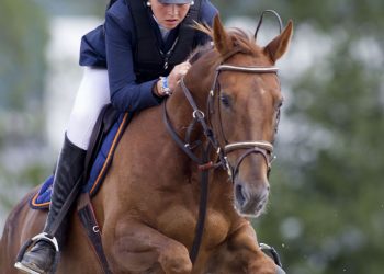 Ridesport