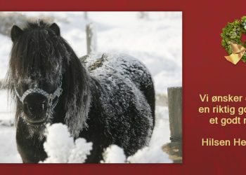 julekort_hestesport_1