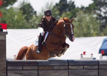 kamaro_van_orchids_isabelle_bendriss_d9d7128