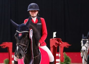 kamilla_li_vognmandgaardens_tornado-9