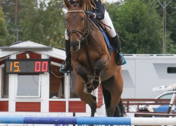 karianne_christoffersen_bushwacker-3