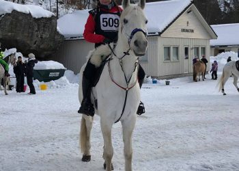 kaspara_grude_sheikh_pacha