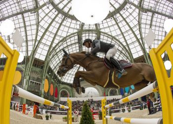 kevin-staut-ayade-de-septon-2