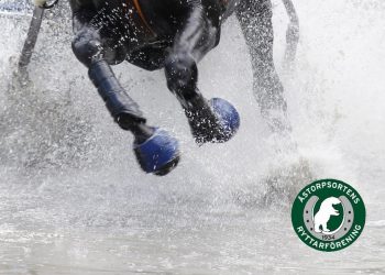 Ridesport