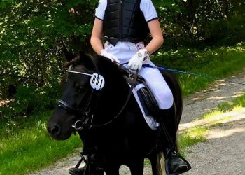 knoettecup_frimann_dressur