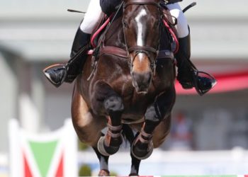 knutsenjohngunvar_exitvdwithoeve_28_final_silver_so_th