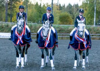 lag_nm_feltritt_lav_gull