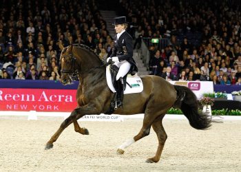 langehanenberg_h-damon_hill_nrw-amst12l3493_1