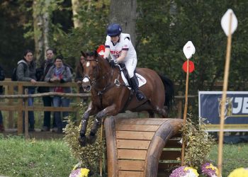 Le Lion d'Angers 2015