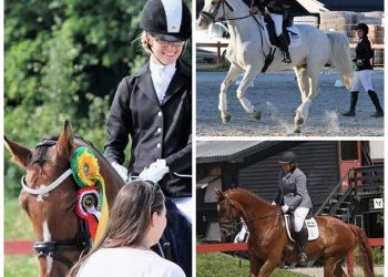 lier_horse_show_2017