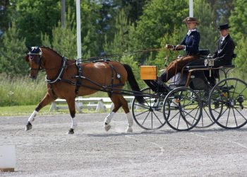 linn_stoekken_nielsen_og_cg_3