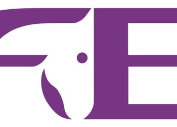 logo_fei-1024x339