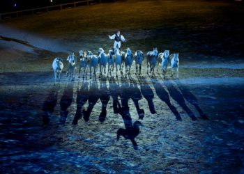 lorenzo_alltech_fei_world_equestrian_games_2014_normandy