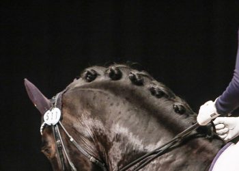 louise_almlund_loekken-17_1