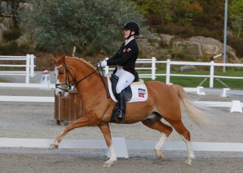 madelen_olsen_schermers_hof_simba_5