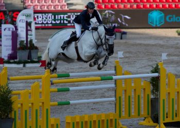 FEI European Jumping & Dressage Championships, Herning, 2013