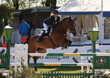 margrethe_vist_hartmann_-_laeticia_9_1