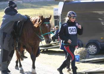 mariann_seglem_og_mynt