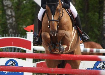 marie-og_algorhythem_1