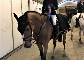 marit_haarr_skollerud_og_jabab