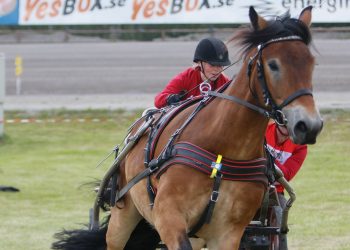 marta_valland_hofslundengen_taabba-1