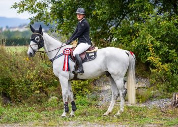 martine_dyngeland