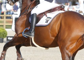 martine_myhrer_dyngeland_douglas_hill-6