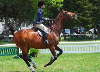 martingal_foto_paul_keleher