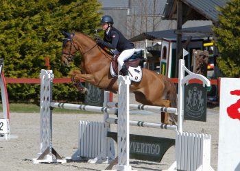 mathea_omberg_christiansen_hb_ginger_space-2