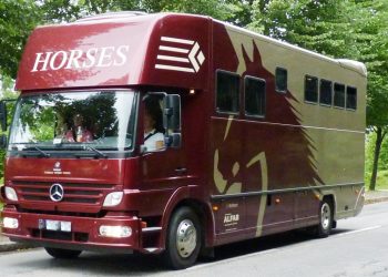 mercedes_benz_ketterer_horsebox