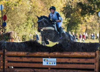 michael_jung_ger_star_connection_lionjpg