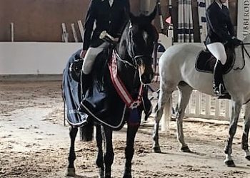 mikkel_flam_og_briljantbridge_b_2