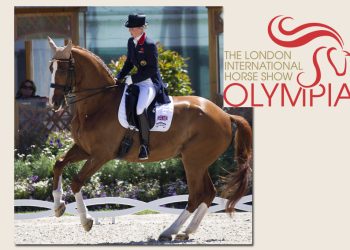 mistral_hojris_laura_bechtholsheimer_d9d3795_1