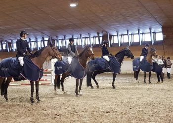 molde_hestesport_norgesserien