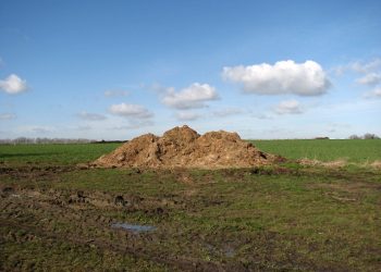 muck_heap_in_field_-_geographorguk_-_706354
