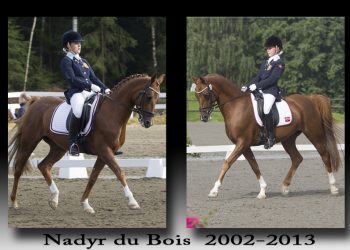 nadyr_du_bois