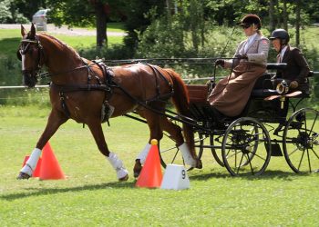 nbc_kjoering_soendag