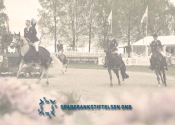 ngp_sparebankstiftelsen