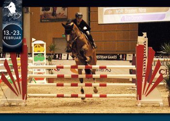 nina-braaten_elle-dorado