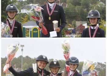 nm_2018_ponni_sprang