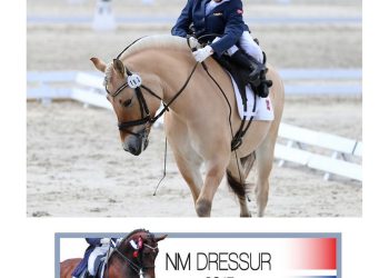 nm_dressur_2015