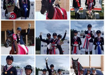 nm_dressur_2018_collage