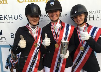 nm_gull_lag_ponni_2017